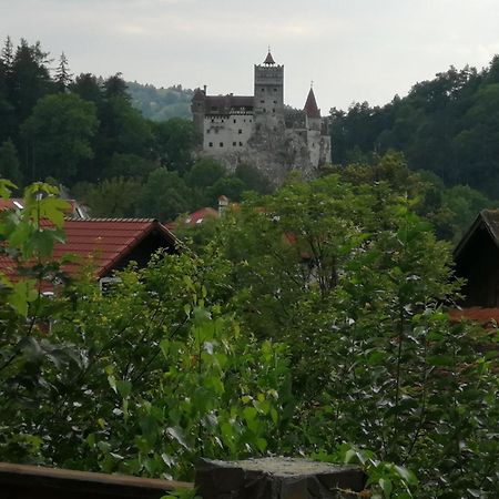 Pensiunea Transilvania Lodge Bran  Luaran gambar