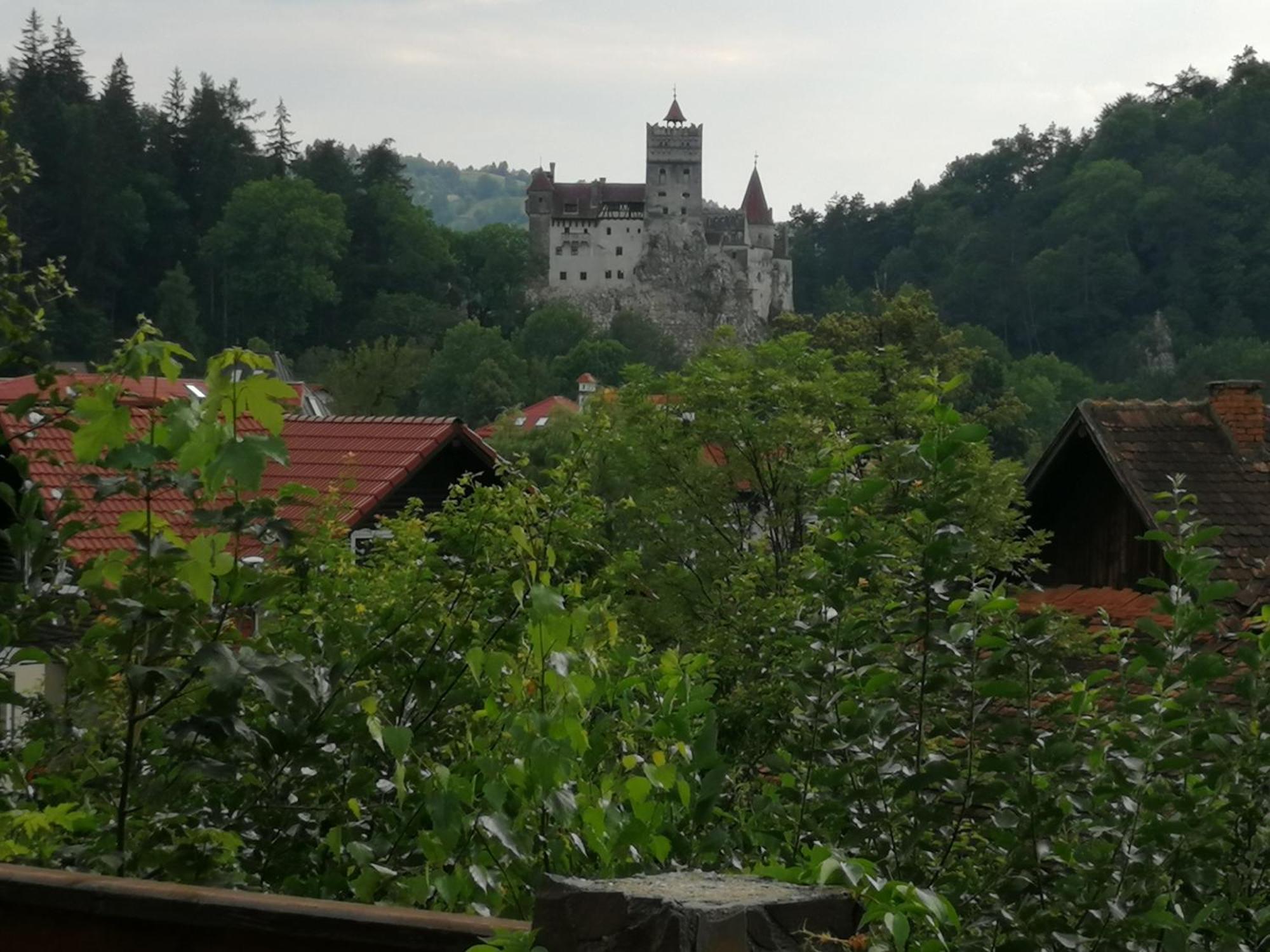 Pensiunea Transilvania Lodge Bran  Luaran gambar