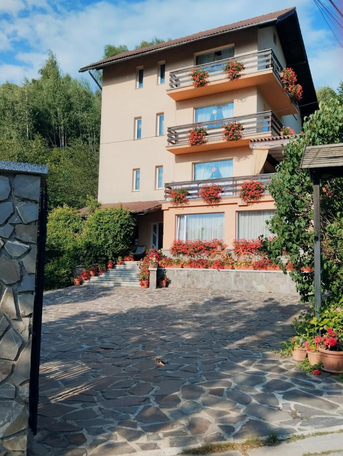 Pensiunea Transilvania Lodge Bran  Luaran gambar