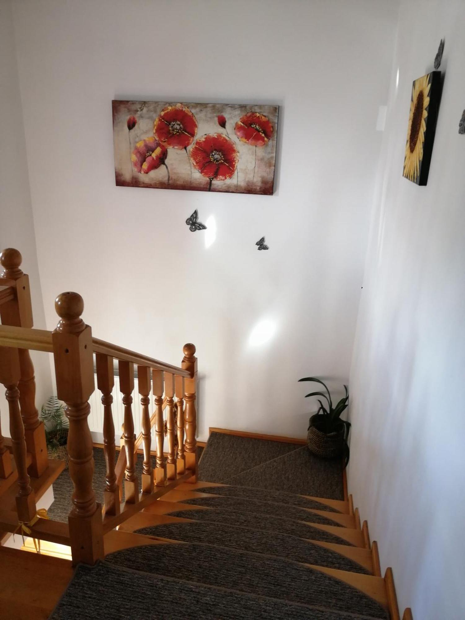 Pensiunea Transilvania Lodge Bran  Luaran gambar