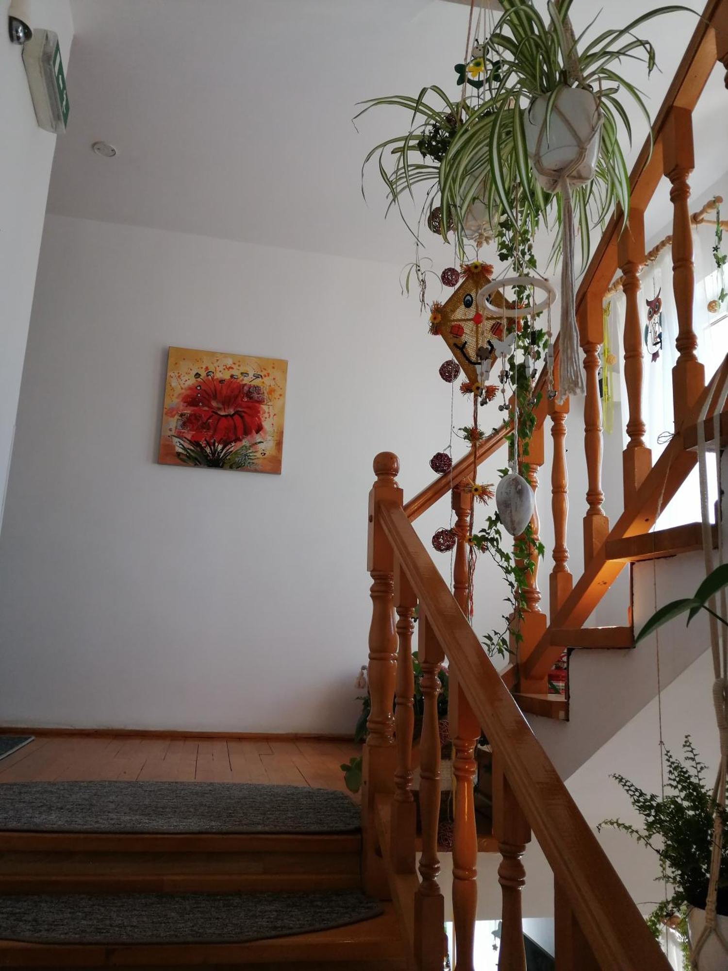 Pensiunea Transilvania Lodge Bran  Luaran gambar