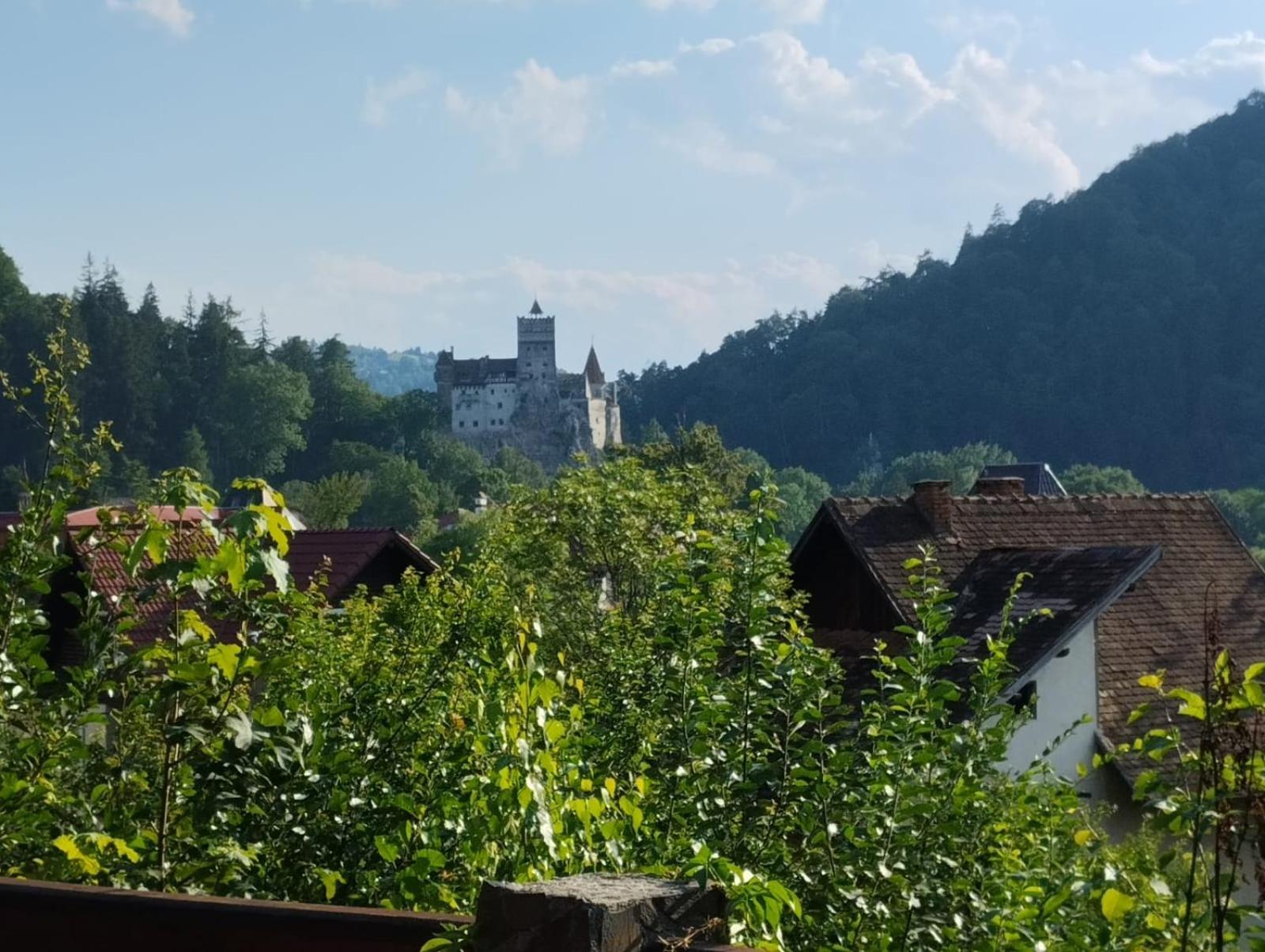Pensiunea Transilvania Lodge Bran  Luaran gambar