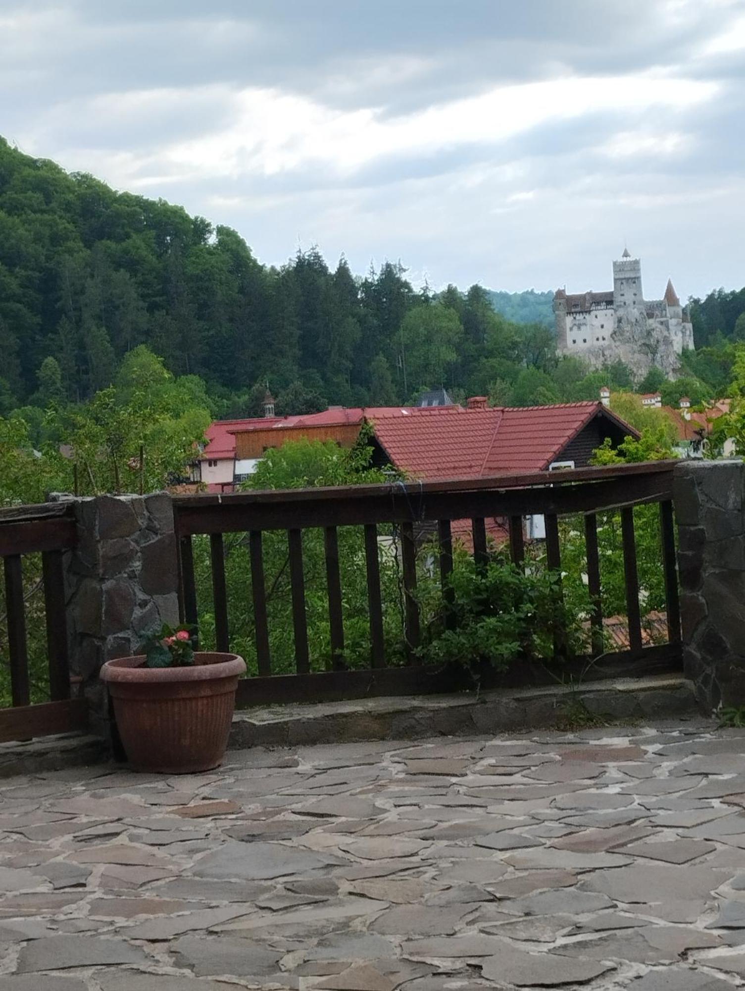 Pensiunea Transilvania Lodge Bran  Luaran gambar